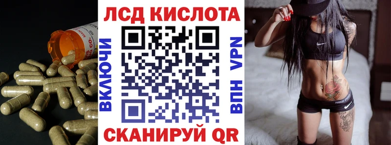 Купить закладки  Нефтекумск  ЛСД экстази ecstasy 